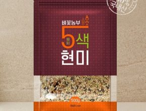 가성비최고 2023 햅곡 벼꽃농부 오색현미 500g21봉 베스트5