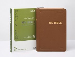 가성비최고 theflavorbible 베스트상품