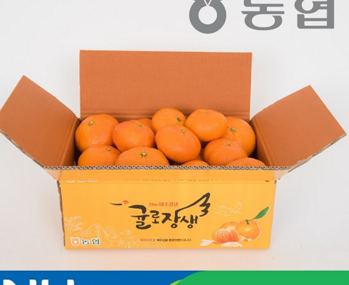 가성비최고 귤로장생 제주 레드향 3.5kg1박스 베스트5