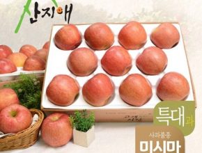 가성비최고 아름아리 못난이사과 2.7kg x 2박스  베스트5