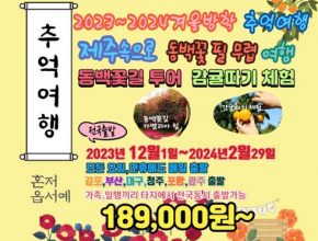 가성비최고 제주 패키지 3박 4일 베스트5