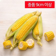 가성비 끝판왕 초당옥수수 Top5